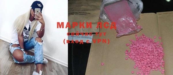 индика Богданович