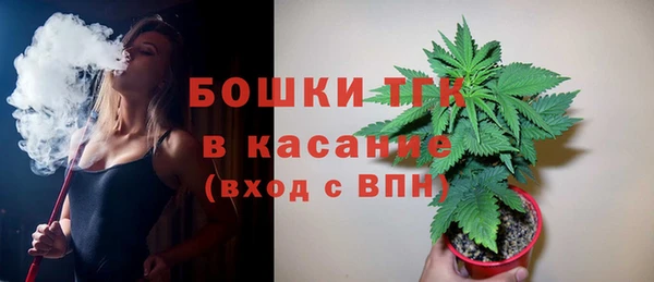 индика Богданович