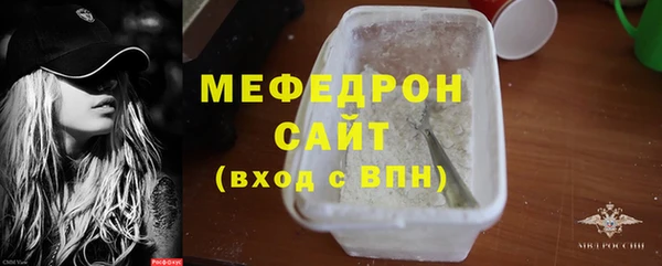 мдпв Инсар