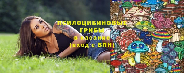 индика Богданович