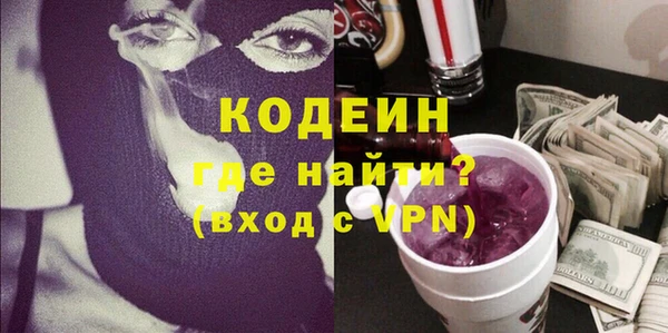 индика Богданович
