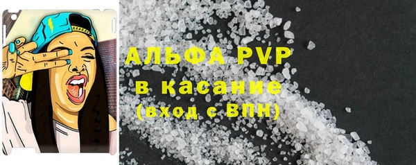 индика Богданович