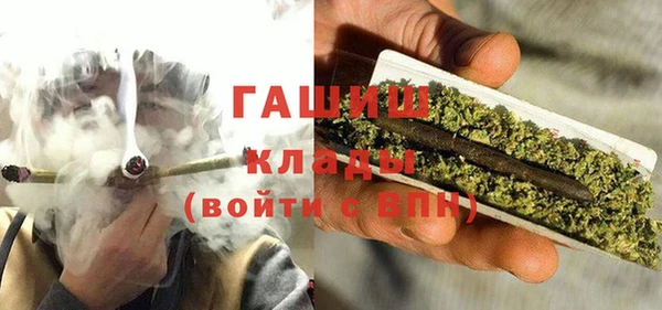 индика Богданович