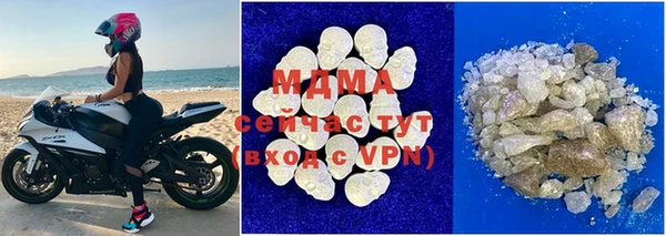 индика Богданович