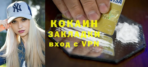 индика Богданович