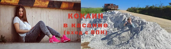 индика Богданович